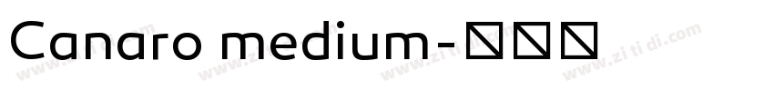 Canaro medium字体转换